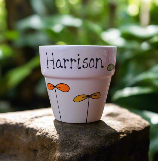 Personalised rainbow seedling plant pot